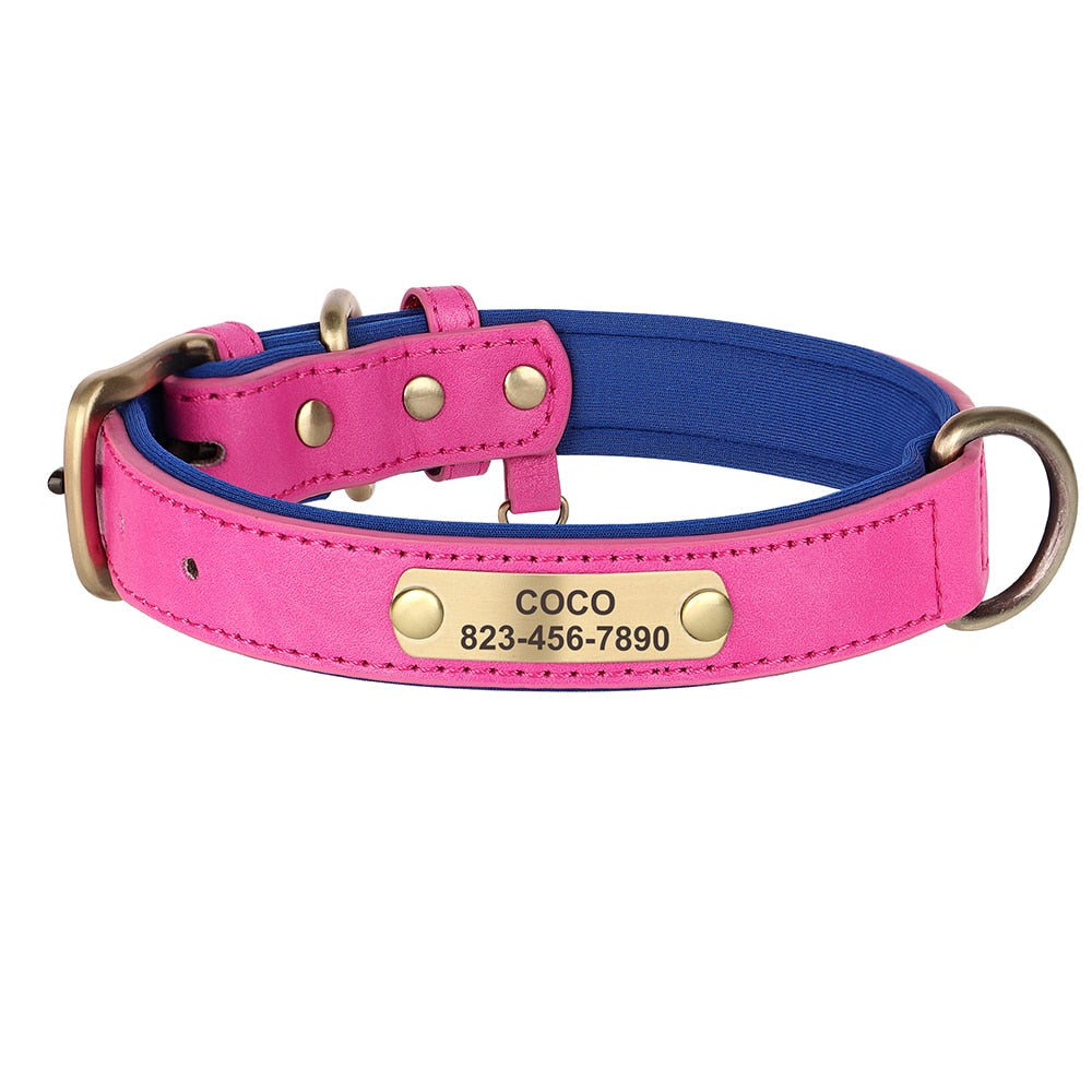 Custom Engraved Personalized Dog Collar Leash