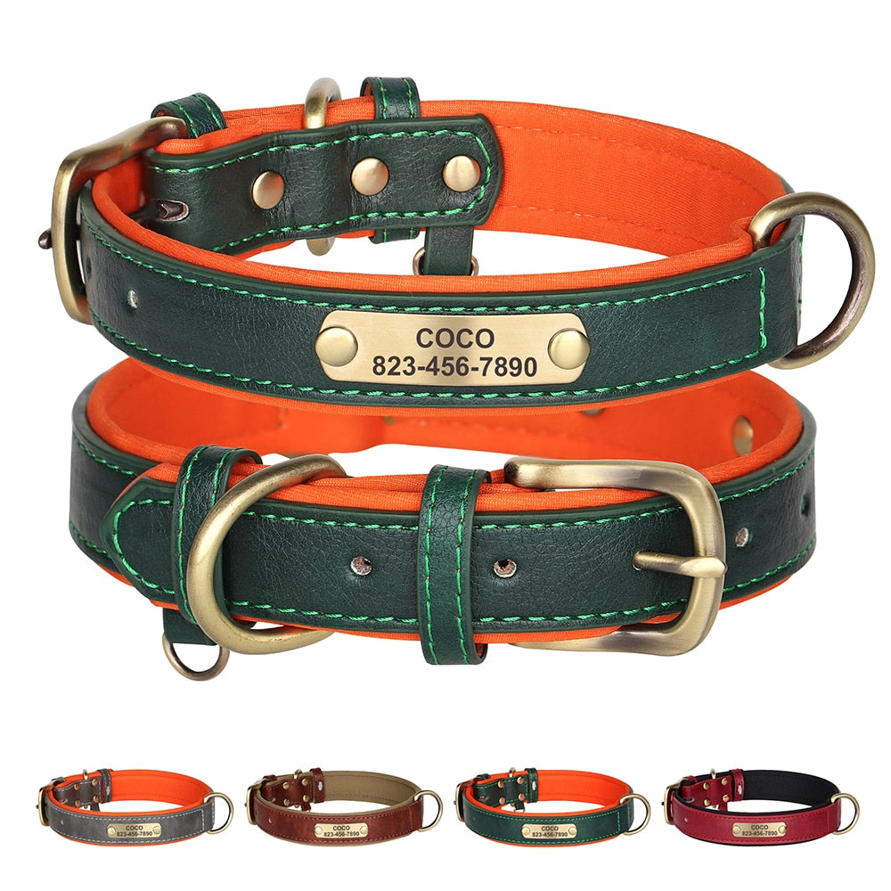 Custom Engraved Personalized Dog Collar Leash